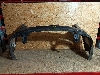 CHERY TIGGO 8 PRO MAX     602002145AA 2023. .1224080