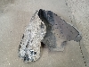 KIA SORENTO     86811P2000
 2022. .1245653