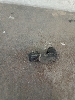 TOYOTA RAV4         8934160060C3 2019. .1263879