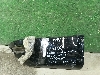 LAND ROVER RANGE ROVER SPORT     LR105622 2018. .1275602