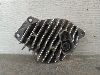 BMW X5M  01.    63119477987 2019. .1291341
