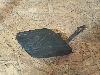 RENAULT ARKANA       511650946R 2019. .1341070