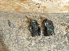BMW X1     51237431369 2021. .1354279