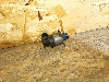 BMW X1   044 13518574787 2021. .1354283