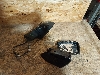 CHANGAN UNI-V      2023. .1370724