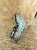 HAVAL JOLION       4137101XST01A 2023. .1373945