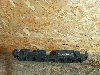 VOLKSWAGEN POLO     60U807248C 2021. .1376124