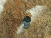 BMW 2           66209826785 2021. .1377408