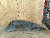 FORD KUGA     2058454										
 2019. .1382649