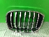 BMW X4     51137478669 2019. .1386857
