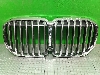 BMW X7    51137454895 2019. .1387103