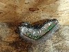 HAVAL JOLION     4137101XST01A 2023. .1388476   