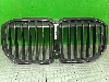 BMW X7    51137454895 2021. .1394576