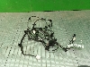 HAVAL JOLION        4011601XST13A 2024. .1418724